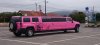pink-hummer.JPG