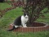 DSCF4135.jpg