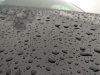 IMG_20170204_103242.jpg