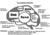 cerveau.png