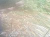 IMG_20171001_130041.jpg