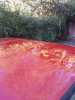 20171014_163437.jpg