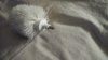 20150504_222435.jpg
