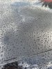IMG_2748.jpeg