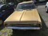 IMG_1964.jpeg
