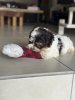 IMG_2310.jpeg