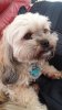 20170403_101833.jpg