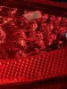 IMG_1969.jpeg