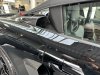 IMG_2095.jpeg