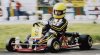 kart ayrton.jpg