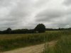 20160617_094245.jpg