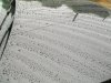 100_2132.JPG