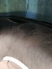 IMG_20170822_153427.jpg