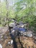 IMG_20210424_112210.jpg