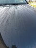 IMG_20220324_161450.jpg