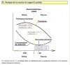 fullsizeoutput_1295.jpeg