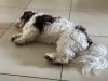 IMG_3846.jpeg