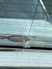IMG_5472.jpeg