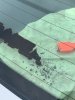 IMG_6059.jpeg