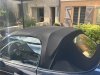 IMG_6491.jpeg